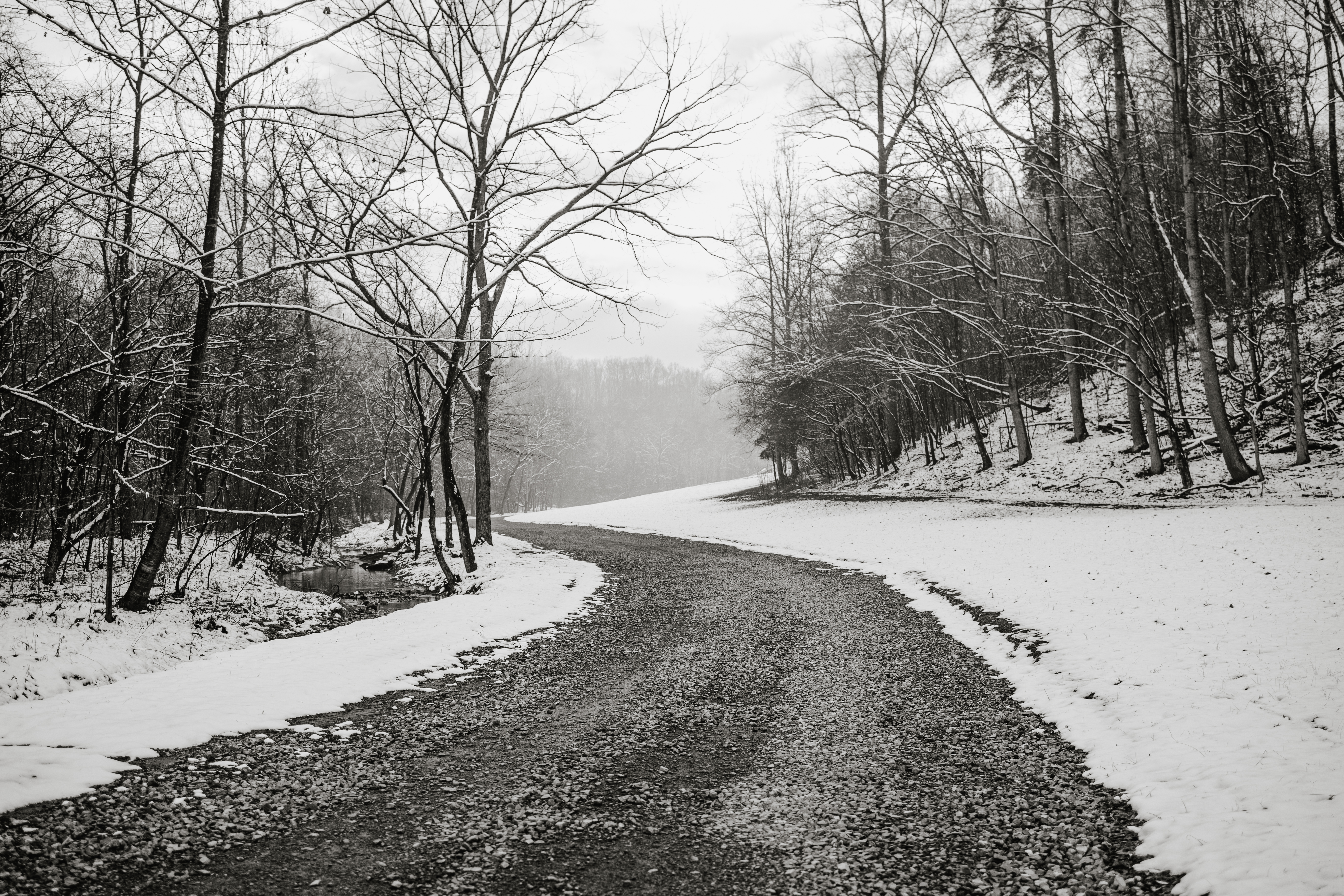 Sycamore Canyon in Hardy, Virginia